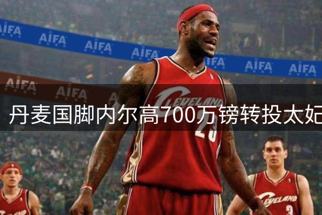 丹麦国脚内尔高700万镑转投太妃糖 直言被古迪逊氛围震撼