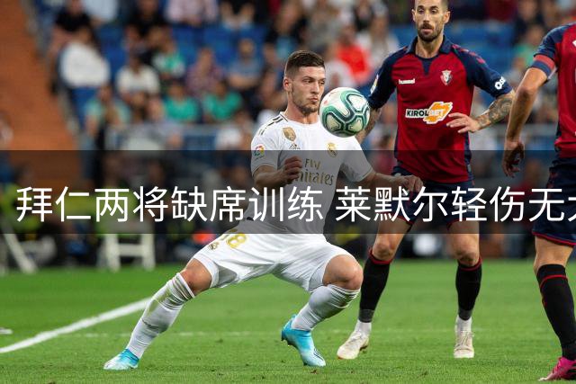 拜仁两将缺席训练 莱默尔轻伤无大碍