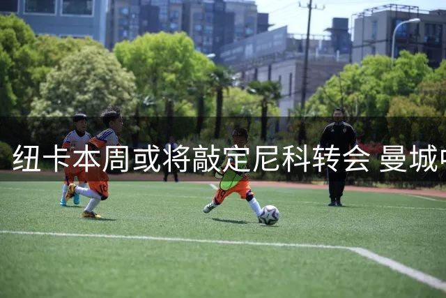 纽卡本周或将敲定尼科转会 曼城中场标价5000万英镑